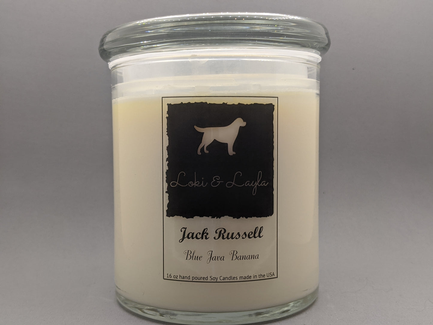 Jack Russell Terrier - Blue Java Banana 16.5oz candle image 0