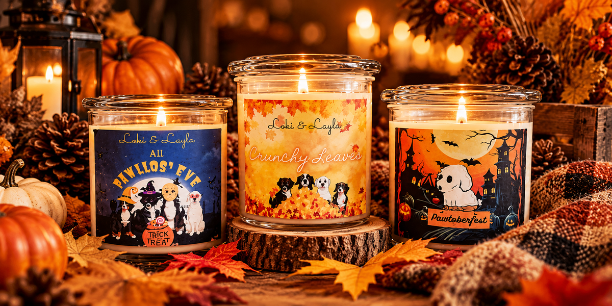 Fall Favorites autumn candle display featuring All Pawllows Eve, Crunchy Leaves, and Pawtoberfest